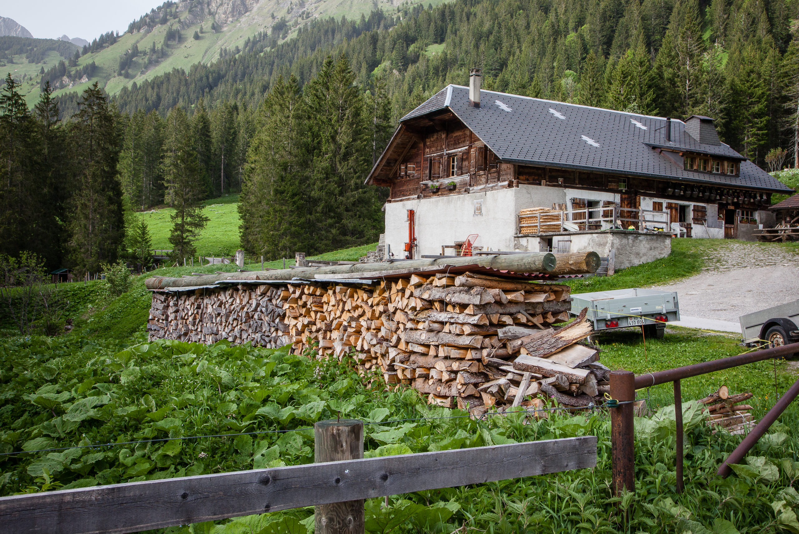14062019-14062019-_MG_7117 chalet du Pâquier-Mottier, L'Etivaz